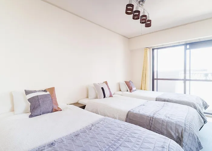 Nishi Nakasu Apartment 301
